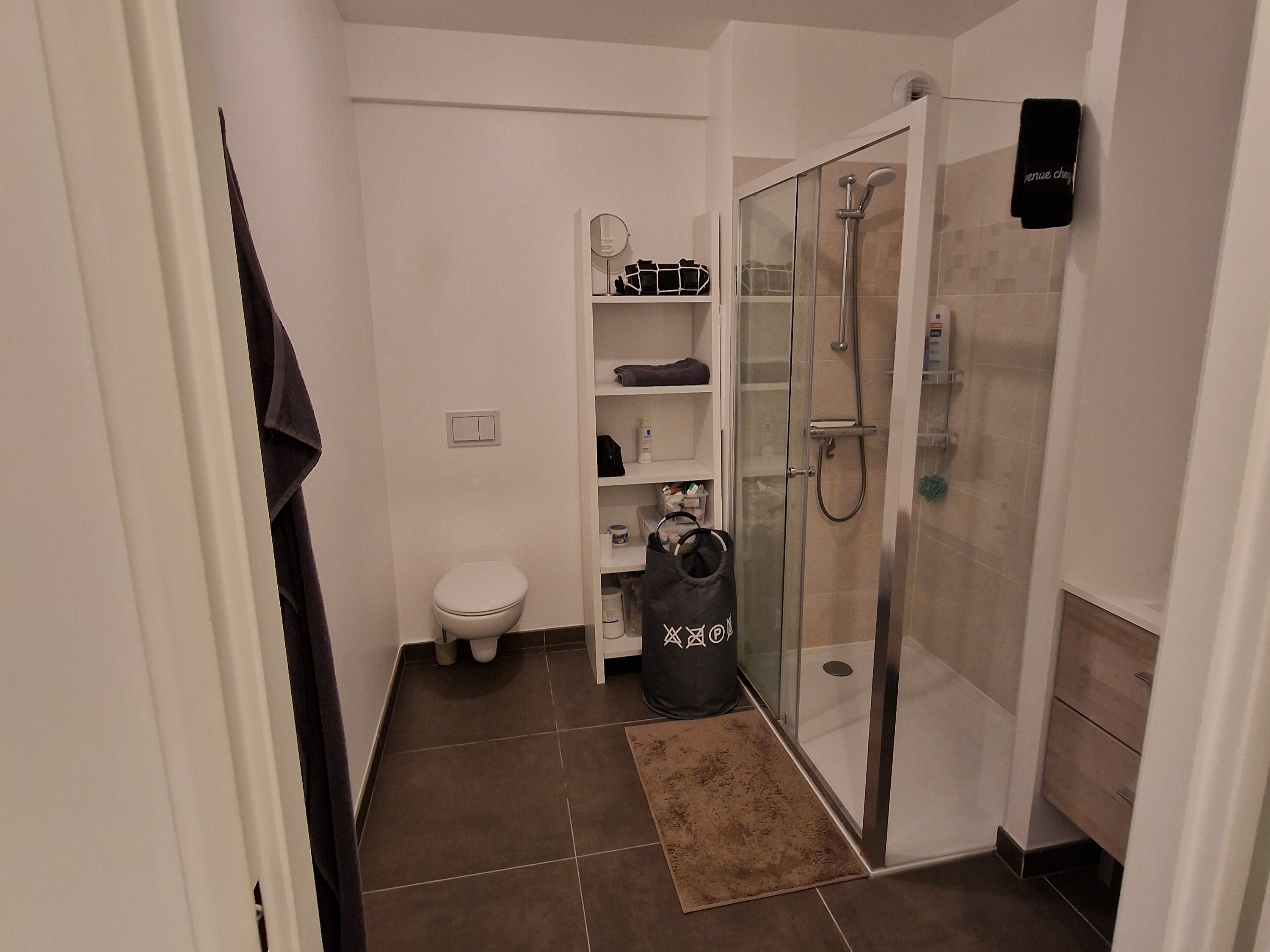 Salle d'eau avec douche à l'italienne du rez-de-chaussée